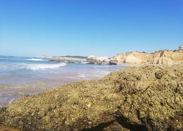 公寓 Rocha Mar Front Line Bay